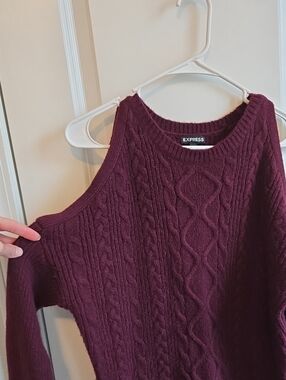 Express Sweater Dress